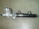 steer