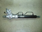 steer