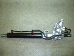 steer