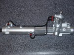 steer