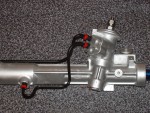 steer